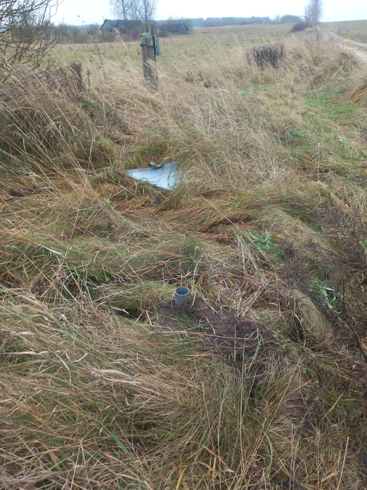 WhatsApp Image 2025 11 06 at 15.43.01