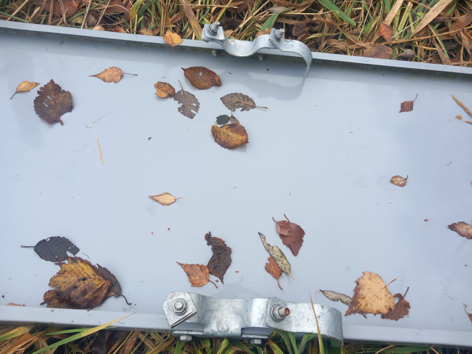 WhatsApp Image 2025 11 06 at 15.43.49