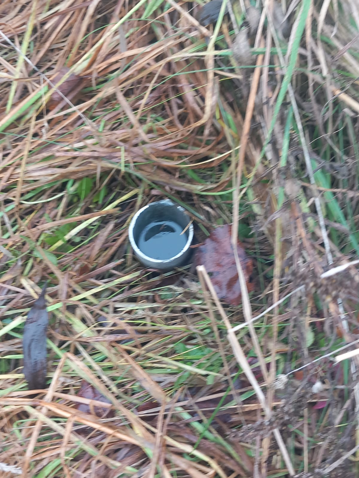 WhatsApp Image 2025 11 06 at 15.43.59